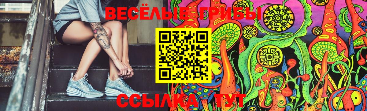Псилоцибиновые грибы MAGIC MUSHROOMS  Вход с VPN  Ртищево 